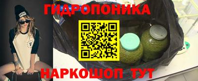 тгк Аргун
